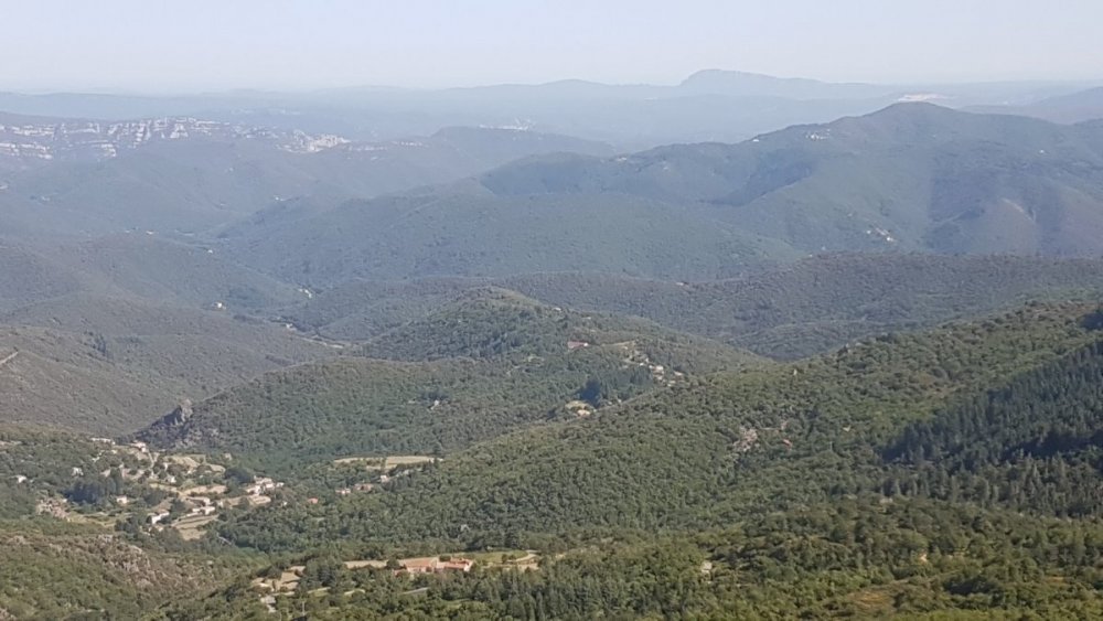 20200524_171535 (Copier).jpg