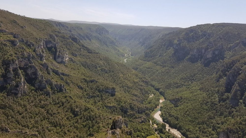 20200524_123147 (Copier).jpg