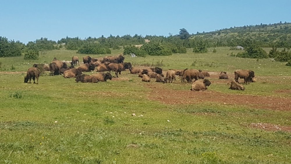 20200524_154833 (Copier).jpg