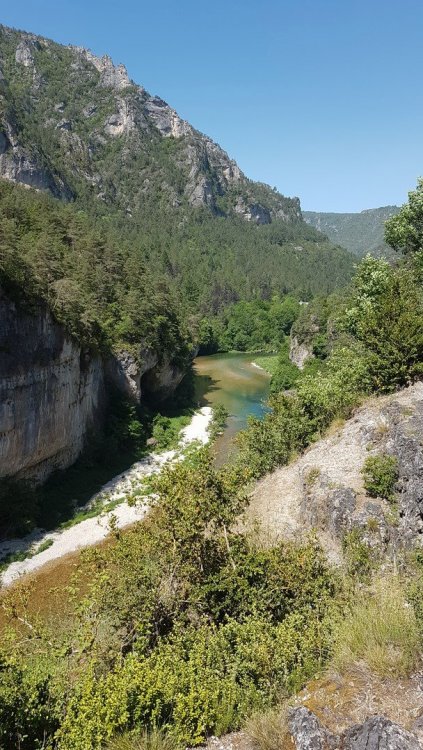 20200524_120531 (Copier).jpg