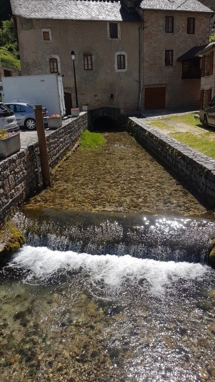 20200524_113406 (Copier).jpg