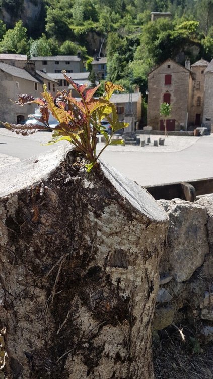 20200524_112322 (Copier).jpg