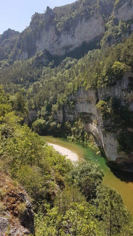 20200524_120516 (Copier).jpg