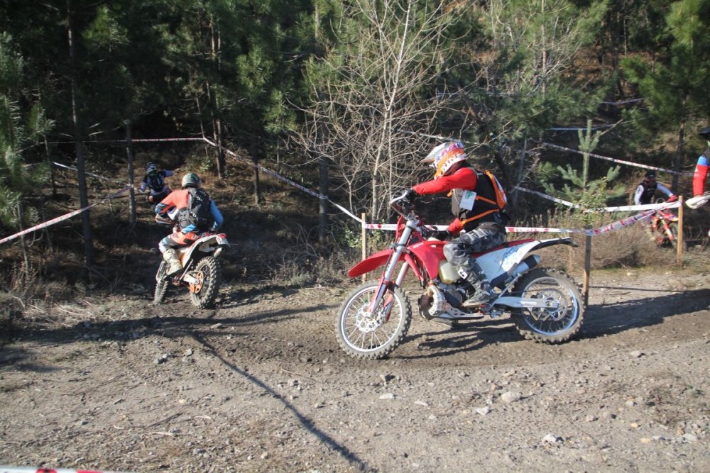 IMG_5605 (Copier).JPG