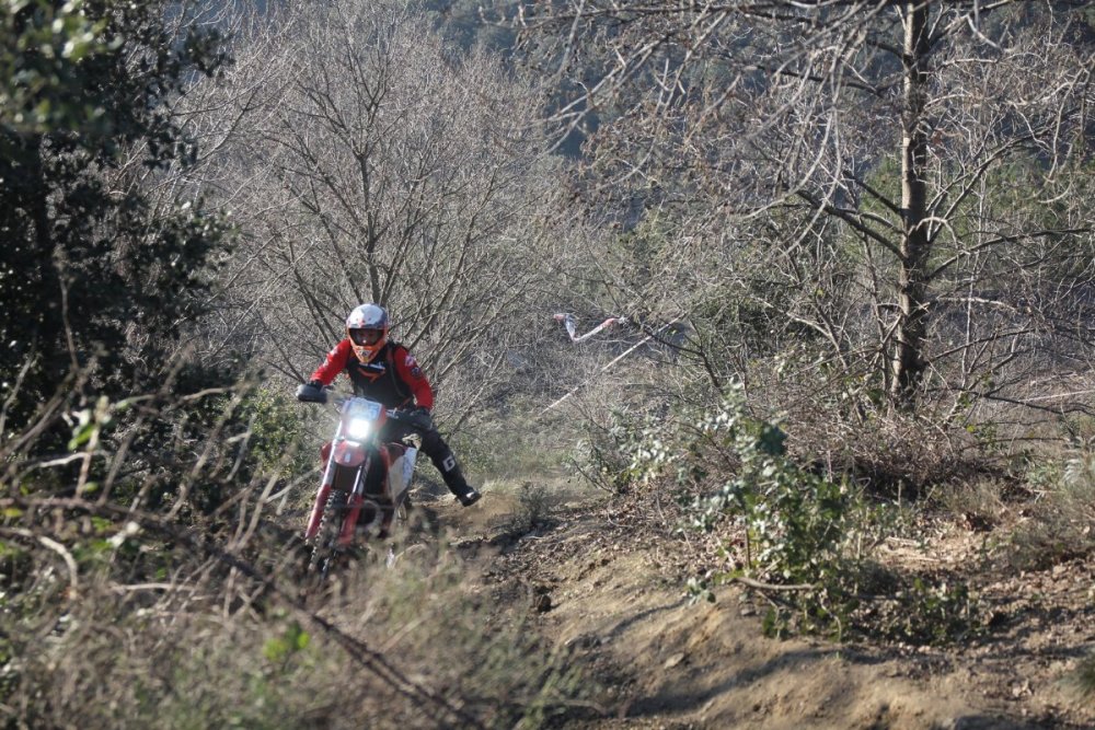 IMG_5773 (Copier).JPG