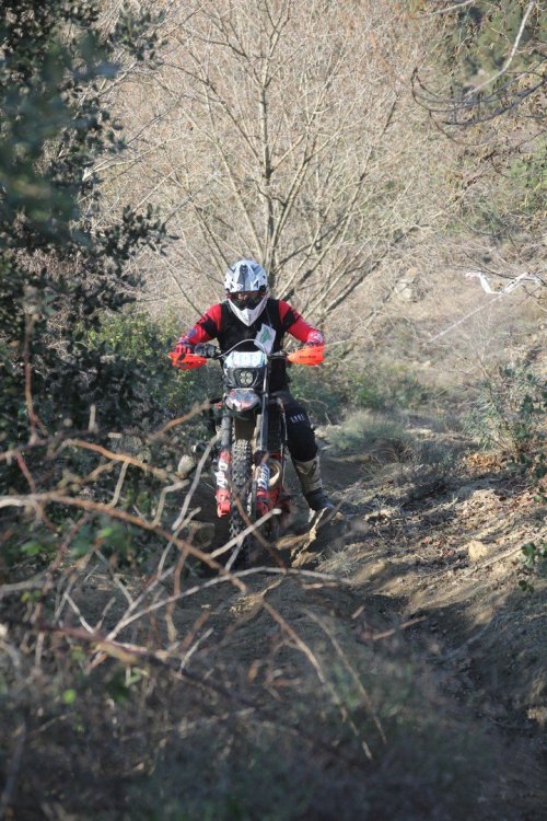 IMG_5646 (Copier).JPG