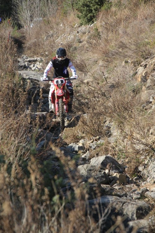 IMG_5631 (Copier).JPG