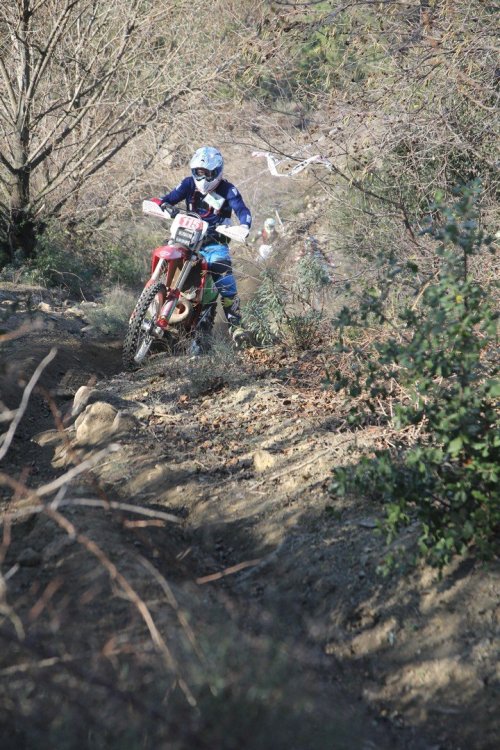 IMG_5651 (Copier).JPG