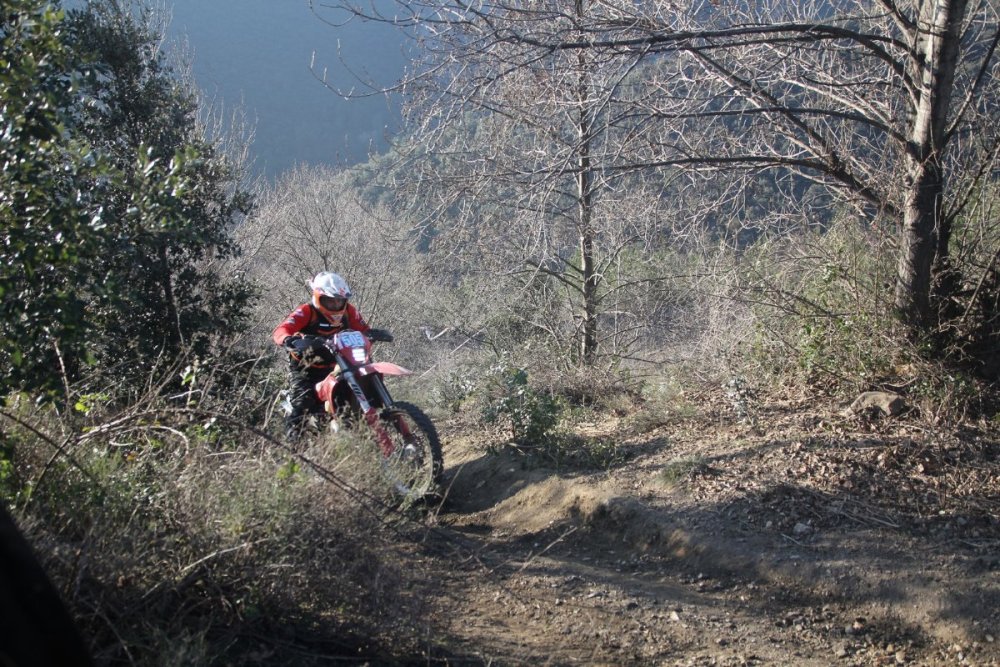 IMG_5781 (Copier).JPG