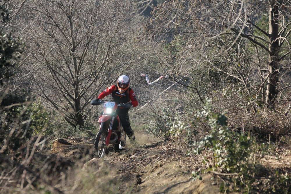 IMG_5771 (Copier).JPG