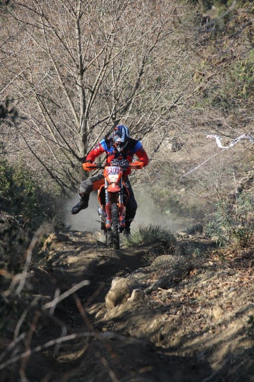 IMG_5663 (Copier).JPG