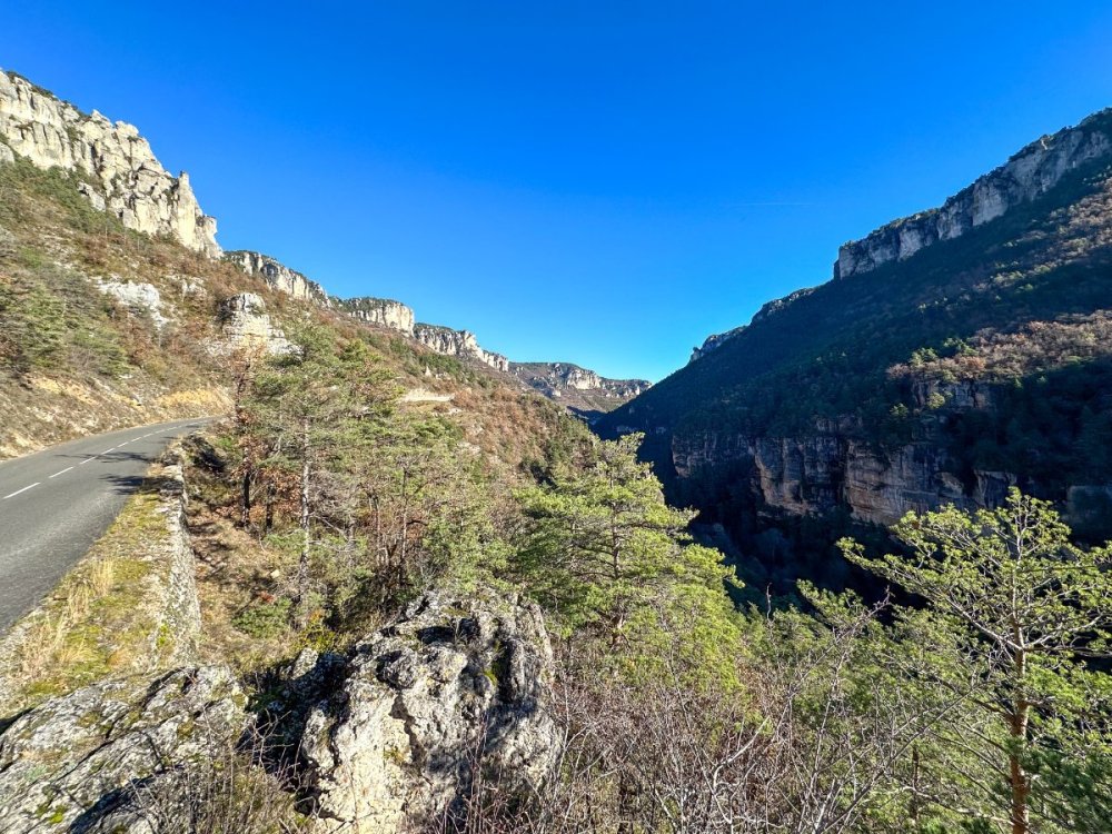 23-12-16 12-33-33.jpg